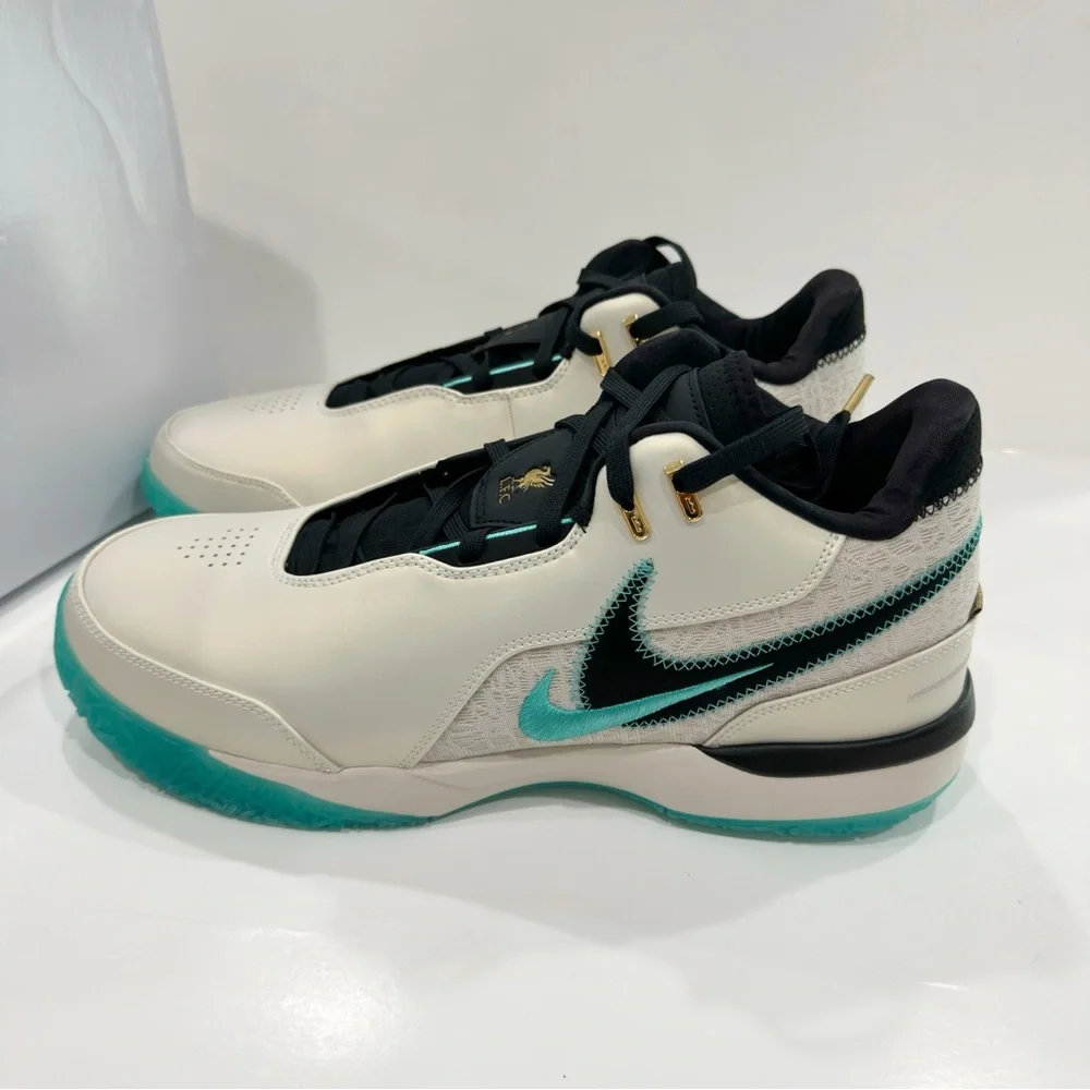 Nike Zoom LeBron NXXT Gen AMPD Orewood Men’s Basketball Shoes
